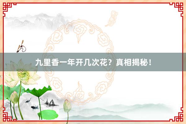九里香一年开几次花？真相揭秘！