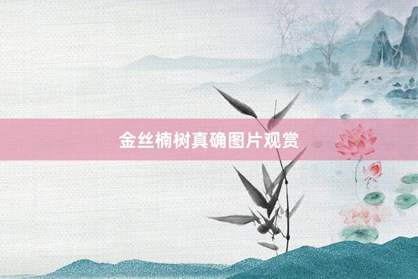 金丝楠树真确图片观赏