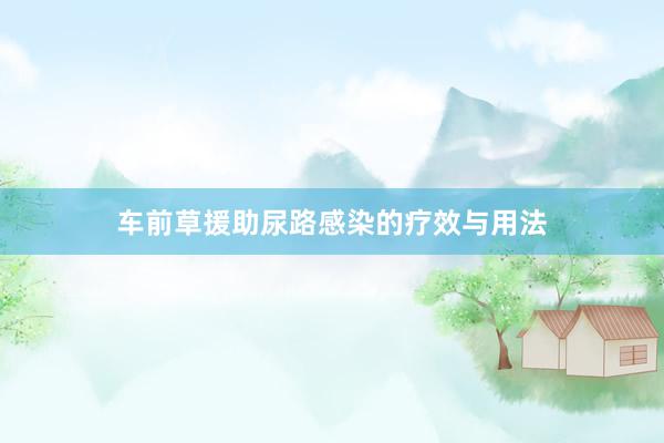 车前草援助尿路感染的疗效与用法