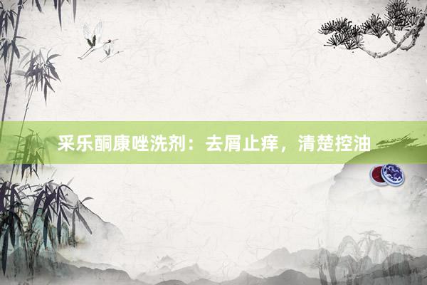 采乐酮康唑洗剂：去屑止痒，清楚控油